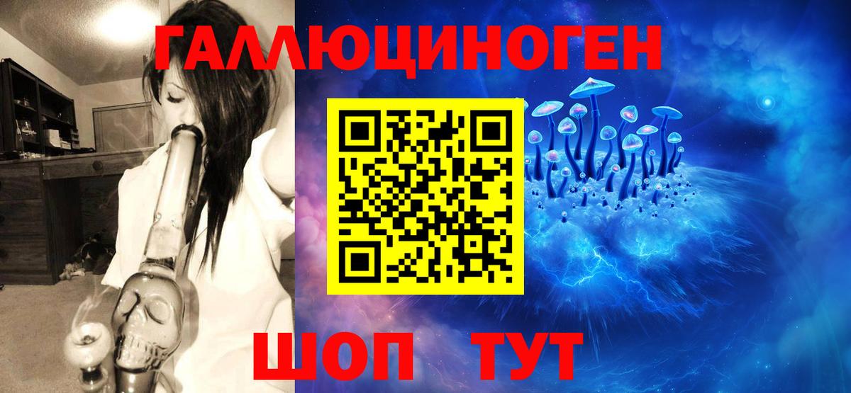 Галлюциногенные грибы прущие грибы Тамбов