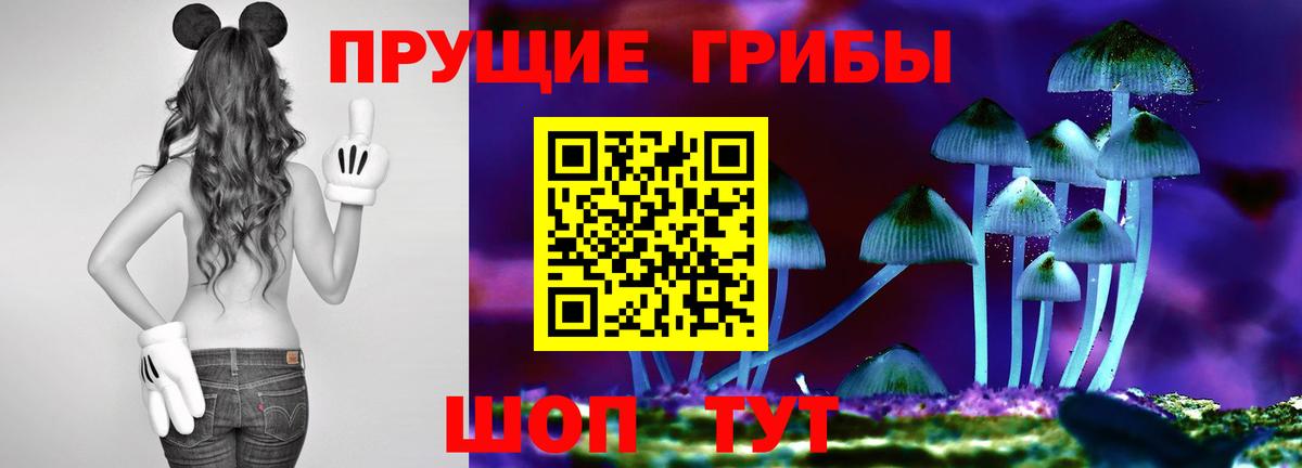 Тамбов  Псилоцибиновые грибы Magic Shrooms  Вход с VPN 